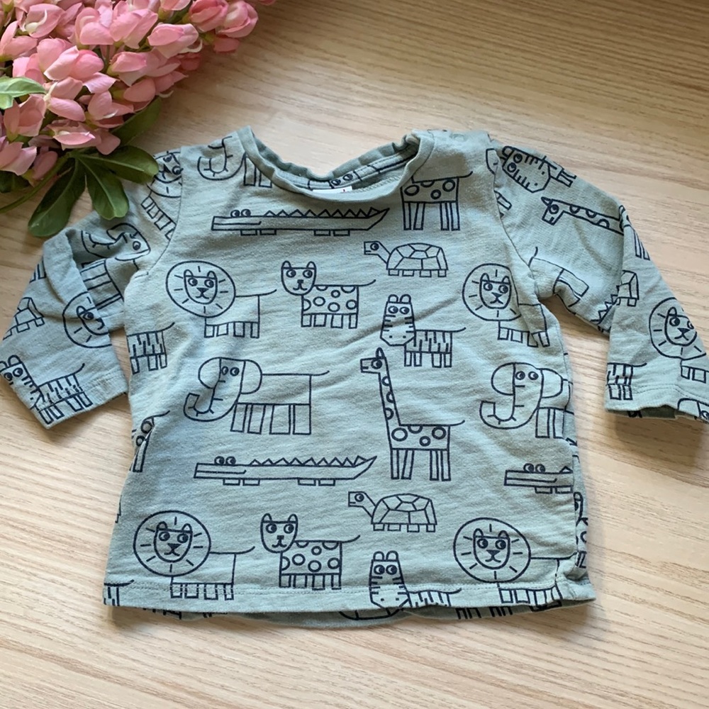 Seed Heritage Boy 6-12‎ months light Sage Sweatshirt. - Picture 3 of 6